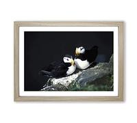 Atlantic Puffins Framed Print | A2 Oak Framed Wall Art | Ready to Hang | Modern Nature Picture | Living Room Bedroom Lounge Office
