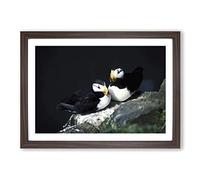 Atlantic Puffins Framed Print | A2 Walnut Framed Wall Art | Ready to Hang | Modern Nature Picture | Living Room Bedroom Lounge Office