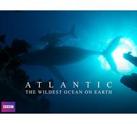 Atlantic: The Wildest Ocean on Earth Season 1