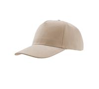Atlantis Liberty Five Heavy Brush Cotton 5 Panel Cap (Pack O AB436