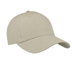 Atlantis Mens Baseball Cap (One Size) (Stone)