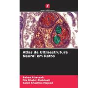 Atlas da Ultraestrutura Neural em Ratos