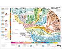 Atlas des vertébrés: Origine et évolution des vertébrés - Poster