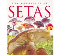 Atlas ilustrado de las setas / Illustrated Atlas of Mushrooms