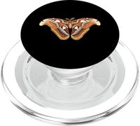 Atlas Moth Butterfly Insect Illustration For Men & Women PopSockets PopGrip for MagSafe