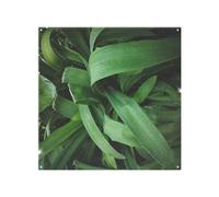 Atmospheric background, Selective focus Designer Splash Back Benjamin Tate Design Natural One Size