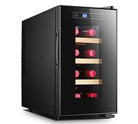 ATNCKS - Mini Steer with Glass Door, Small Fridge with Adjustable Shelves, Outdoor Beer Cooler, 11-18℃, Adjustable Temperature Control, Touch Control, Cooler