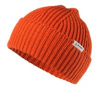 Atomic Alps Knit Beanie