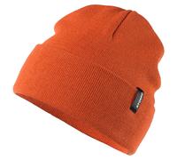 Atomic Alps Rolled Cuff Beanie