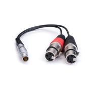 Atomos Lemo To XLR Breakout Cable - Input Only (AOATOMCAB017)