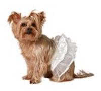 ATOSA White Tutu Pet Costume L
