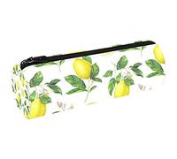ATOurDealss Lemon Fruits Pencil Pouch Cosmetic Bags Round Pencil Case for Art and Office Supplies