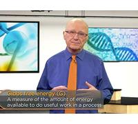 ATP and Energy Transformations in Cells