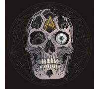 Atreyu In Our Wake (Vinyl) 12" Album Picture Disc (US IMPORT)