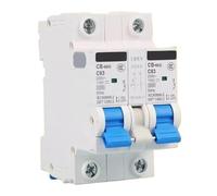 ATS DC/AC 110V 220V Double Power AutomaticTransfer Switch Circuit Breaker for PV Solar Energy System Electric vehicle(1P 110V,20A)