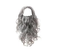 ATSNOSH Wizard Wig and Beard Set, Wizard Costume Accessory for Adults, Long Curly Synthetic Wigs Fake Beard, Halloween Party Adult Fancy Dress Cosplay Accessory, One Size (Grey)