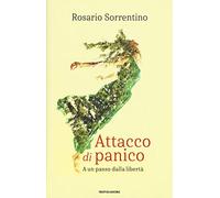 Attacco di panico. A un passo dalla libertà