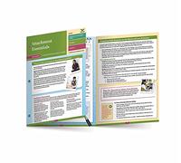 Attachment Essentials: A Mental Health Quick Reference Guide: A Mental Health Quick Reference Guide (A Norton Quick Reference Guide): 0 (Norton Series on Interpersonal Neurobiology)