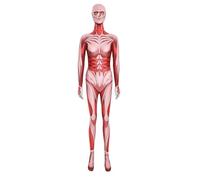 Attack on Titan Female Titan Cosplay Costume Bodysuit for Halloween, Medium, Red