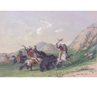 Attacking the Grizzly Bear.Mounted Indians attack a bear with spears and an axe.From Catlin's North American Indian Portfolio published in London 1844 by American Adventurer artist George Catlin 1796