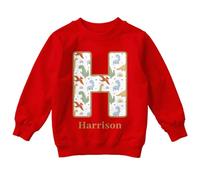 ATTAR APPAREL Personalised Kids Sweatshirt Whimsical H With Dinosaurs Rainbows & Stars - Fun Gift Jumper for Boys & Girls #TA-195 5-6 Years