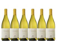 Attems Cicinis Collio Sauvignon Blanc, Italian White Wine, CASE of 6 x 750ml