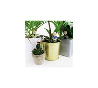 Gift Republic - Attenborough Explorers Plant Markers - These Attenborough Explorers Will Look After Your Plants, 9.5x14.5x3.5 cm, Green