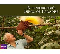 Attenborough's Birds of Paradise