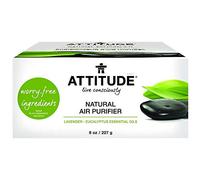 Attitude Air Freshener, Lavender and Eucalyptus, 2 Pack (2 x 8oz)