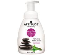 ATTITUDE, Foaming Hand Soap, Coriander & Olive, 10 fl oz (295 ml)