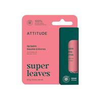 ATTITUDE Hydrating Lip Balm for Dry Lips, Watermelon, EWG Verified, 8.5 g | 100% Natural Origin, Non-Waxy Glide, Shea Butter & Coconut Oil, Plant-Based Candelilla Wax, Dermatologist Tested, Vegan