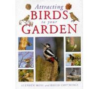 Attracting Birds to Your Garden