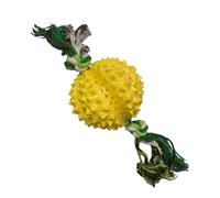 Attractive Dog Treat Dispensers, Funny Toys That Release Treats, Whimsical Chew Toys, Fruit Treat Dispensers with Chew Tips