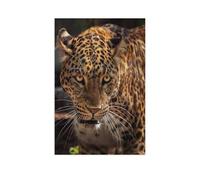 Attractive image of a powerful jaguar as a hunter，Jigsaw Puzzles 1000 Pieces for teenagers Educational Games Home Decoration Unique Home Decor and Gifts（75x50cm）-AR18