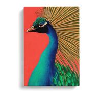 Attractive Peacock Peach Canvas Print | Gallery Wrapped 30mm Frame Wall Art | 30x20 inches | Ready to Hang | Contemporary Still Life Picture | Living Room Bedroom Lounge Office