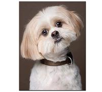 Attractive Shih Tzu Dogs Wooden Jigsaw Puzzles for Adults and Kids Cute Puppies 1000 Pieces Mother's Day Children's Day Home Decor