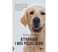 Attraverso i miei piccoli occhi