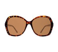Atum Women's Butterfly Shiny Havana Brown Gradient Aelius Atum Brown One Size
