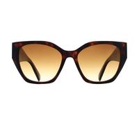Atum Women's Cat Eye Shiny Brown Tortoise Brown Gradient Zenith Atum Brown One Size