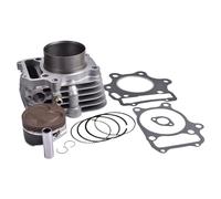 ATV Engine End Rebuild Kit Compatible With 300EX Models Includes Cylinder Head Gasket Piston Rings And Overhaul Mat