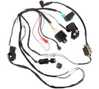 ATV Ignition Complete Wiring Harness Ignition Set Compatible With 4 Stroke ATV QUAD 50cc 70cc 90cc 110cc Dirt Bike Go Kart