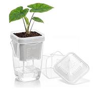 ATVIOT Self-Watering Plant Pots For Indoor Plants - Mini Clear Plastic Planter With Semi-Hydroponic System, 2 Sizes & Labels Included(8pcs,L)