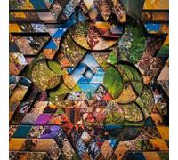 Atwood Ferguson Miguel - Les Jardins Mystiques Vol 1 + Selections From Les Jard