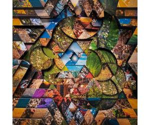 Atwood Ferguson Miguel - Les Jardins Mystiques Vol 1 + Selections From Les Jard