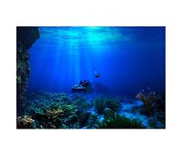 Atyhao Aquarium Background Poster, Self Adhesive Thickened PVC Static Cling Underwater Sticker Realistic Ocean Reef Backdrop for Freshwater Saltwater Fish Tanks Decor(122×50cm)