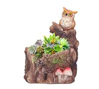 Atyhao Plant Pot Innovative Waterproof Succulent Flower Bonsai Resin Planter Home Decoration Small Cactus Planter Pots for Home Office Decor and Gift No Plants Succulent Plant Pots (owl)