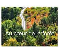 Au coeur de la forêt (Calendrier mural 2026 DIN A3 vertical), CALVENDO calendrier mensuel: Balade photographique en forêt