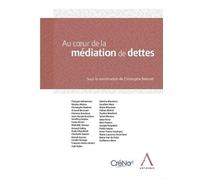 Au coeur de la médiation de dettes