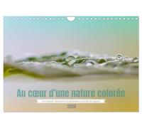 Au coeur d'une nature colorée (Calendrier mural 2026 DIN A4 vertical), CALVENDO calendrier mensuel: Notre environnement quotidien vu en macro