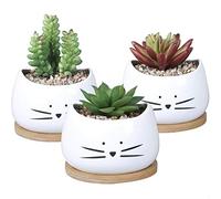 Au Paradis Des Chats Box of 3 Ceramic Plant Pots With Black Cat Pattern - Small Wooden Plant Pots for Indoor, Original Gift Idea, Birthday, Cactus Plants, Succulents, Flowers Pots - Black